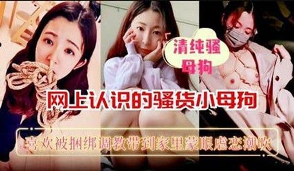 网上认识的骚货母狗喜欢被捆绑调教带到家里勐操
