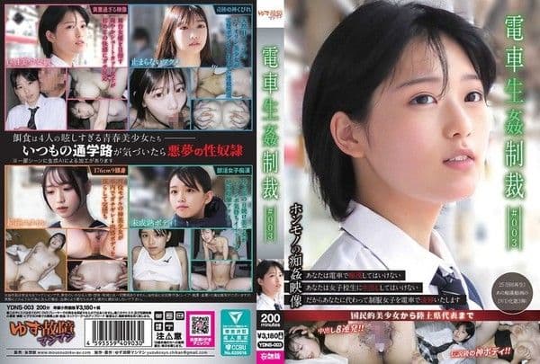 YDNS-003 电车性侵制裁 ＃003