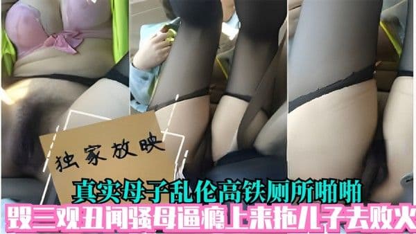 真实母子乱伦高铁厕所啪啪毁三观丑闻骚母逼瘾上来拖儿子去败火