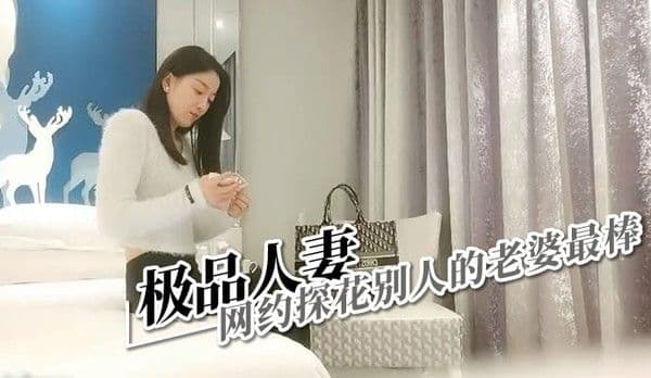 极品人妻  网约探花别人的老婆最棒 第二部