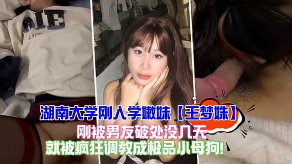 湖南大学校花 刚入学嫩妹 王梦姝 刚被男友破处没几天，就被疯狂调教成极品小母狗！