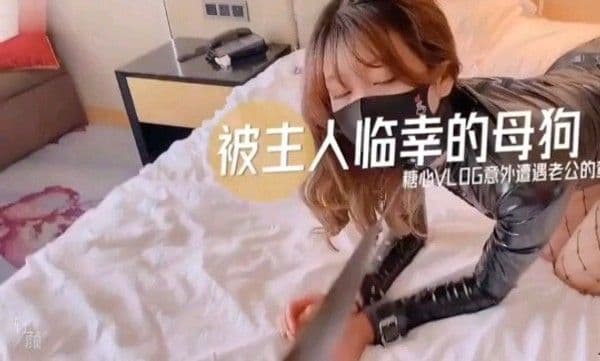 被主人临.幸的小女狗母狗