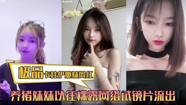 极品卡哇伊嫩妹网红养.猪妹妹以往裸露网络试镜片流出