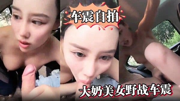 车震自.拍大奶美女野战车震啊啊你不能射太快了不是说一个小时吗