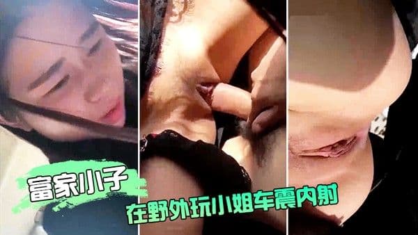 富.家.小.子在野..外玩小姐车.震内.射