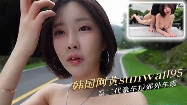 韩国网黄sunwall95富二代豪车郊外车震座椅湿透