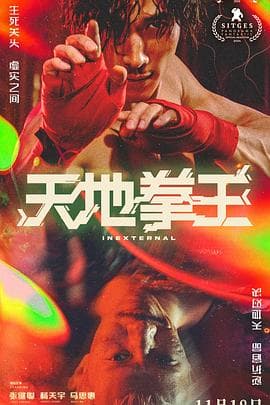天地拳王国语
