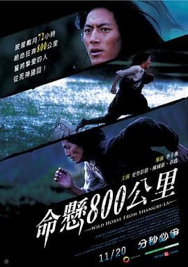 命悬800公里