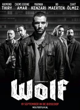 狼(2013)
