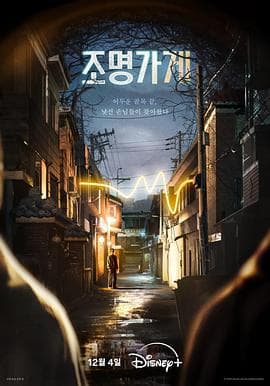 照明商店2024