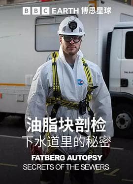 油脂块剖检:下水道里的秘密