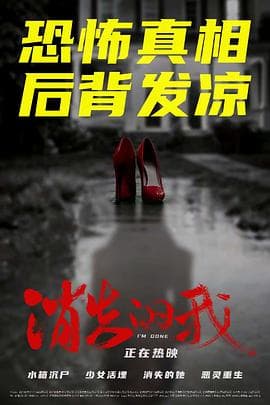 消失的我